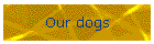 Our dogs